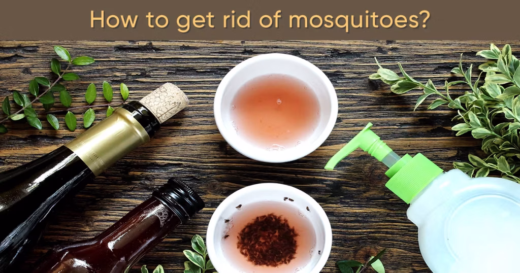 Chemical Solutions to Get Rid of Mosquitoes