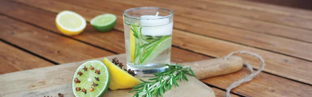 How to Get Rid of Mosquitoes at Home