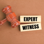 Police Expert Witness Services